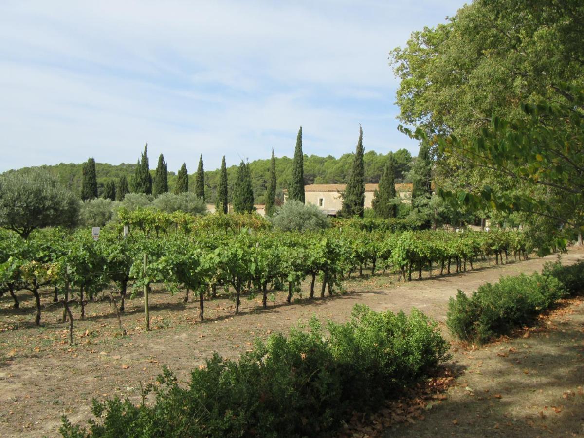 Charming And Quaint 2-Bed House In Marseillan别墅 外观 照片